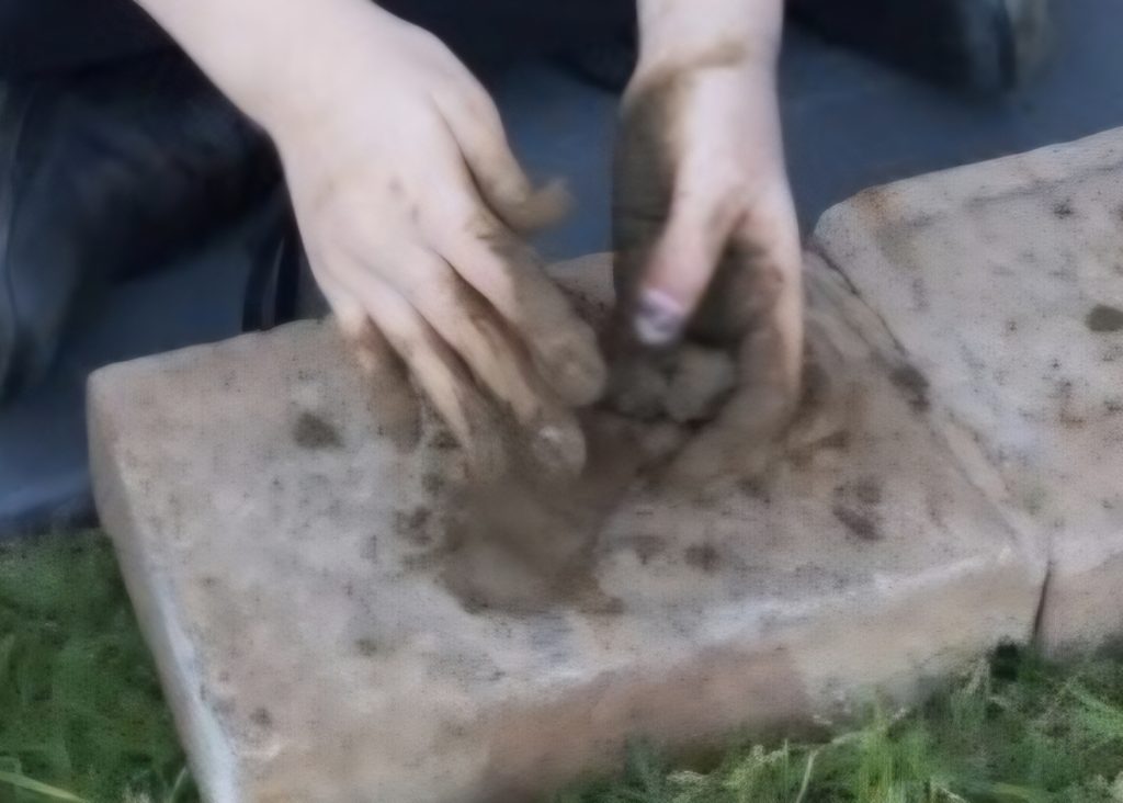 Rainbow Parrot Design Studio child hand sculpting clay